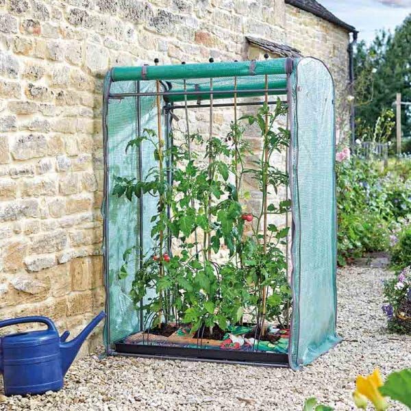Garden Mile 1.5m Tomato Greenhouse with Vents, Reinforced PE Cover, Steel Frame, Zip Panels & Pest Protection - Grow House Ideal for Tomatoes, Cucumbers & Peppers (Tomato GroZone Max)