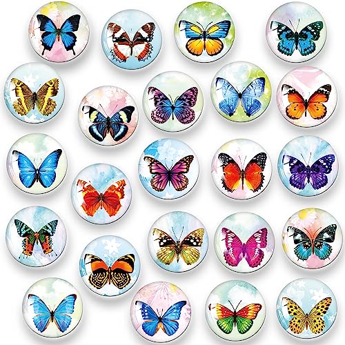 MORCART 30Pcs Refrigerator Magnets Fridge Magnets, Butterfly Fridge Decoration Sticker, Magnets for Kitchen Fridge, Locker Whiteboard, Office, Dishwasher MR-3080