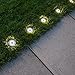 Aogist Solar Ground Lights, LED Garden Disk Lights In-Ground Outdoor Landscape Lighting for Lawn Patio Pathway Yard Deck Walkway (Warm White, 4 Pack)