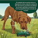 Ver la foto 5