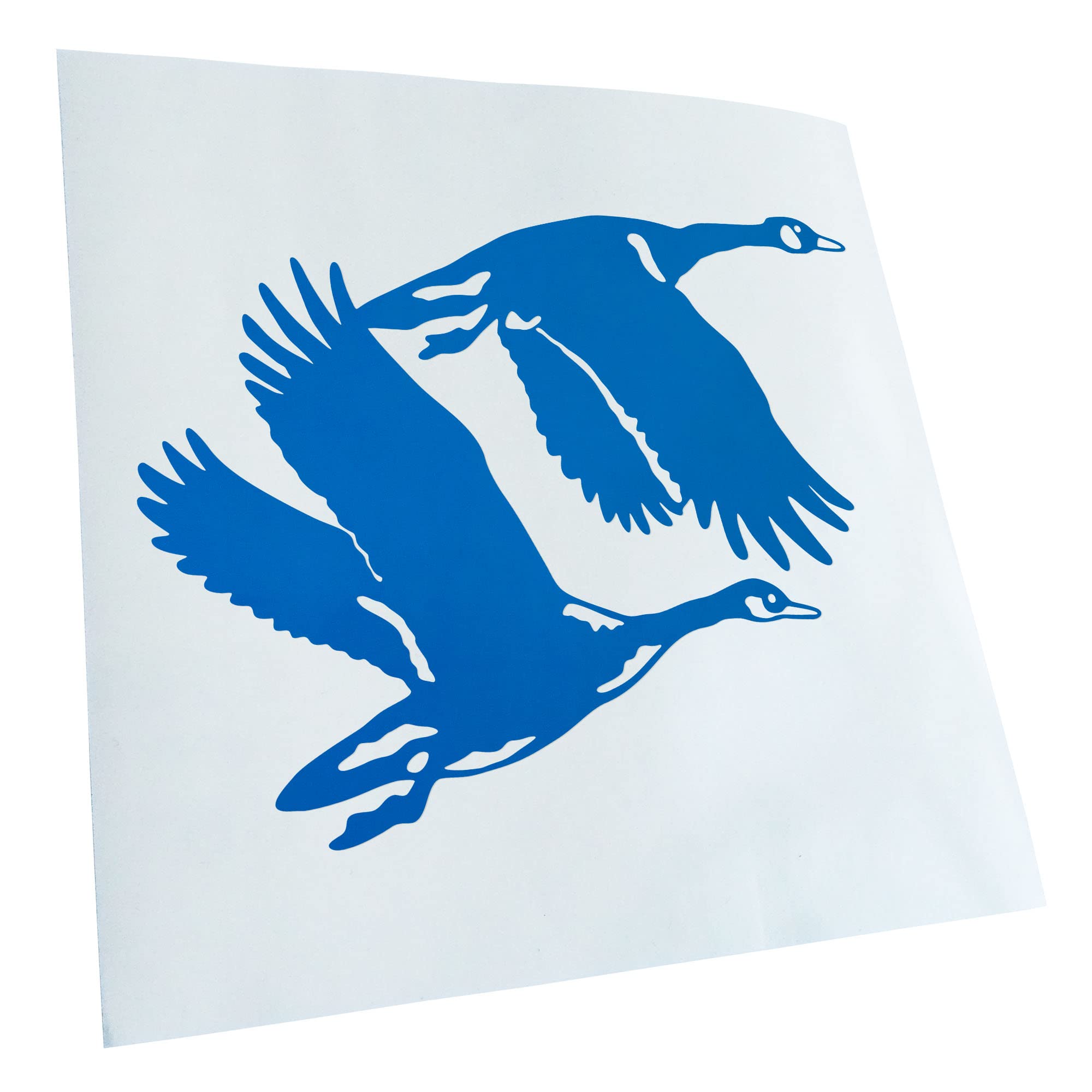 Kiwistar - Car Sticker - Blue - 13 x 10 cm Ducks - Ducks - Duck - Rear Window Car Sticker Weatherproof for Car Truck Moped Truck - Sticker Exterior Self-Adhesive Tuning Accessories for Window Vehicle