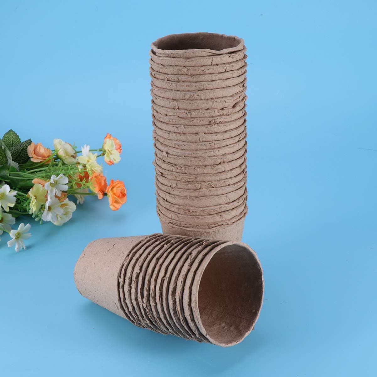 Hemoton 100 Pcs Biodegradable Peat Pots for Seedlings Plant Starter Pots Kit Succulent Planters Nursery Pots (8 x8 cm) : Patio, Lawn & Garden