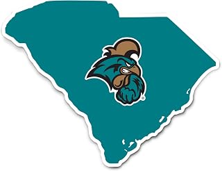 Desert Cactus Coastal Carolina University Chanticleers CCU CINO Vinyl Decal Laptop Water Bottle Car Scrapbook (State Border Sticker)