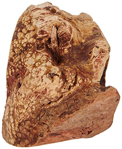 Chewies Kauwurzel für Hunde - Kauspielzeug aus Baumheide Wurzel - Größe S & Kaustab für Hunde - Kauknochen aus Kaffeeholz - splitterfrei und langlebig - Größe S: Für Hunde bis 10 kg Körpergewicht