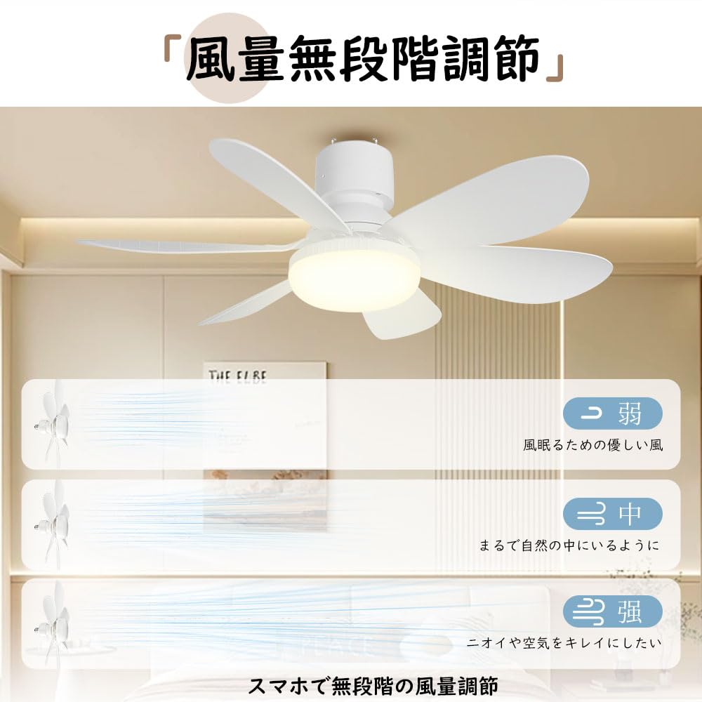 Amazon.co.jp : シーリングファンライト led ファン dcモーター 静音