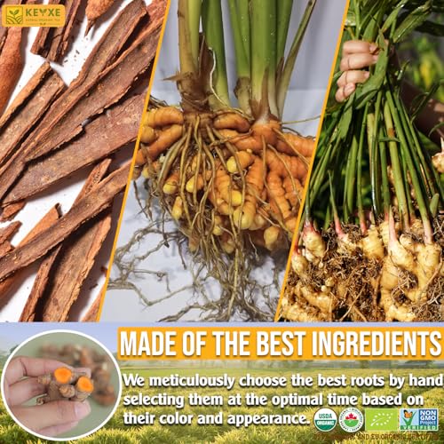 Image of USDA Organic Turmeric Ginger Cinnamon Tea Bags (50 Count) n Supports Digestion, Brain, Skin, Sleep & Joint Mobility n Eco-Conscious, Caffeine-Free & Sugar-Free Herbal Wellness Tea n Vegan, Non-GMO Natural Root Blend