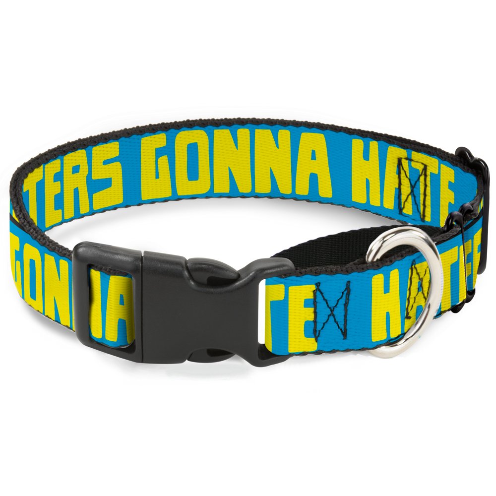 Do Dogs Hate Collars