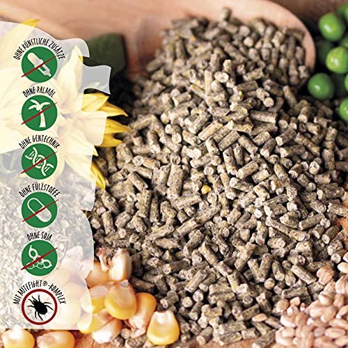 hühnergold® ProNatur Hühnerkorn 10 kg – Bio Premium Hühnerfutter, optimal mineralisiert, mit Bierhefe & Oregano-Öl, Alleinfutter für gesunde & Vitale Hühner, gentechnikfrei & ohne Palmöl