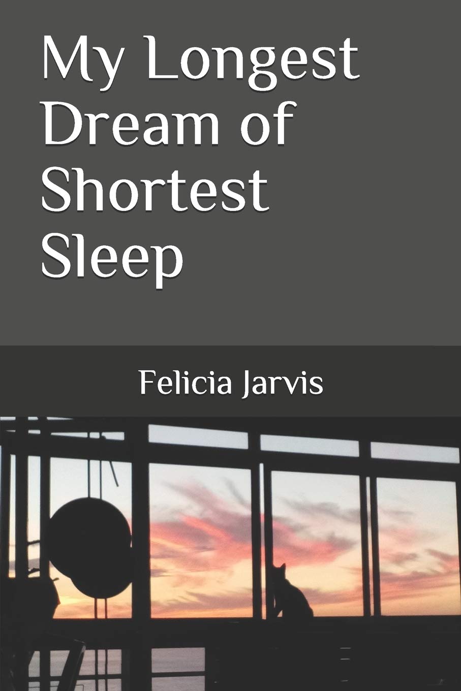 My Longest Dream of Shortest Sleep