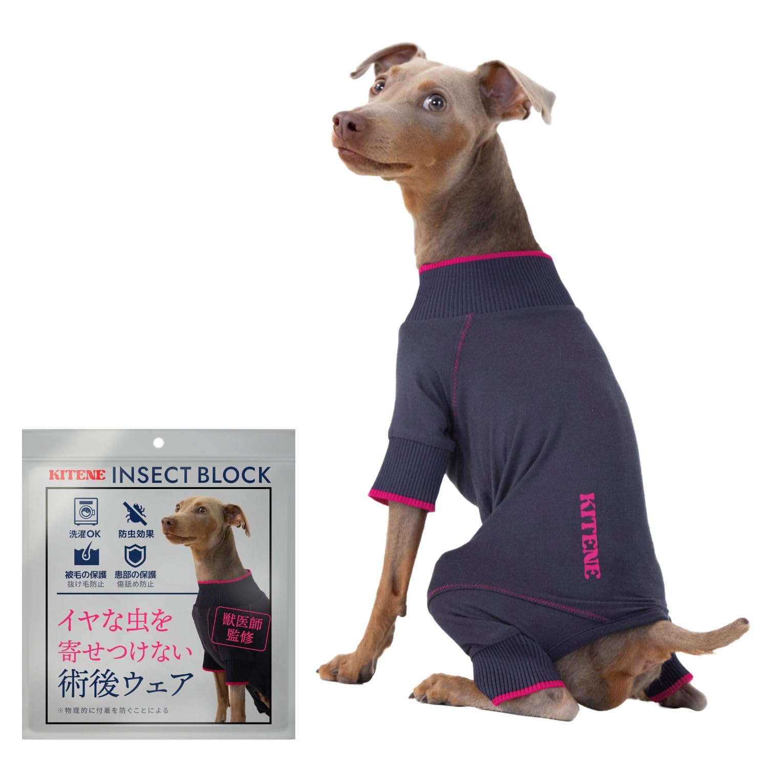 Amazon | 【獣医師監修】 KITENE キテネ 術後 防虫 保護 服 犬 うち