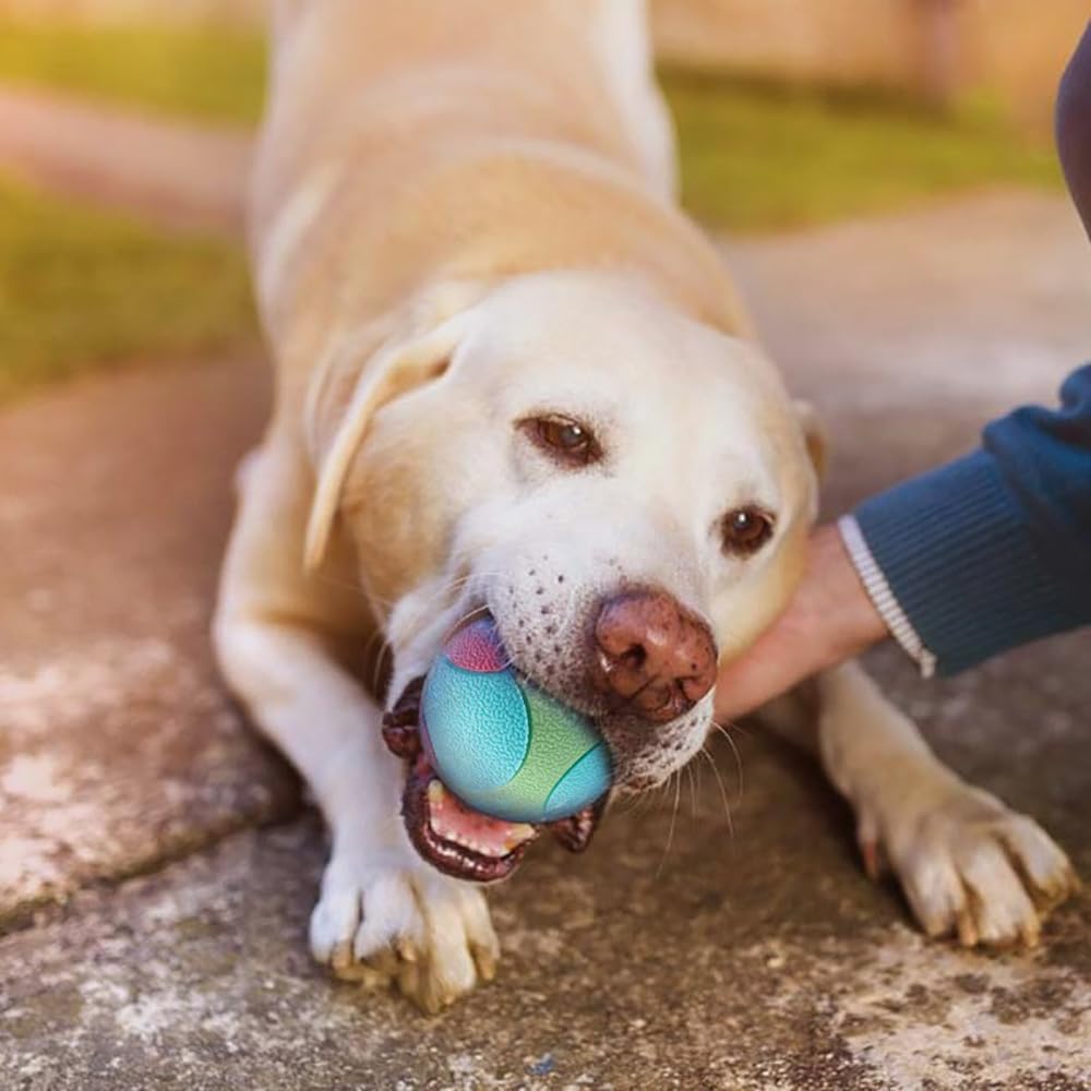 Coogime Pack of 2 Dog Balls Made of Natural Rubber - Image 2