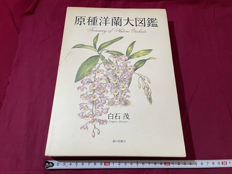 原種洋蘭大図鑑 原種洋蘭大図鑑 : Amazon.de: Bücher