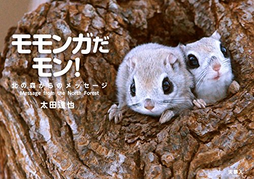 モモンガだモン! 北の森からのメッセージ