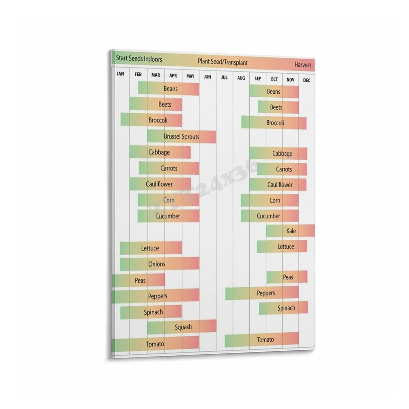 PKNVKZIDK Gardening Zone 9 Planting Calendar Poster Vegetable Herb Schedule Chart Framed,16X24inch(40X60cm)