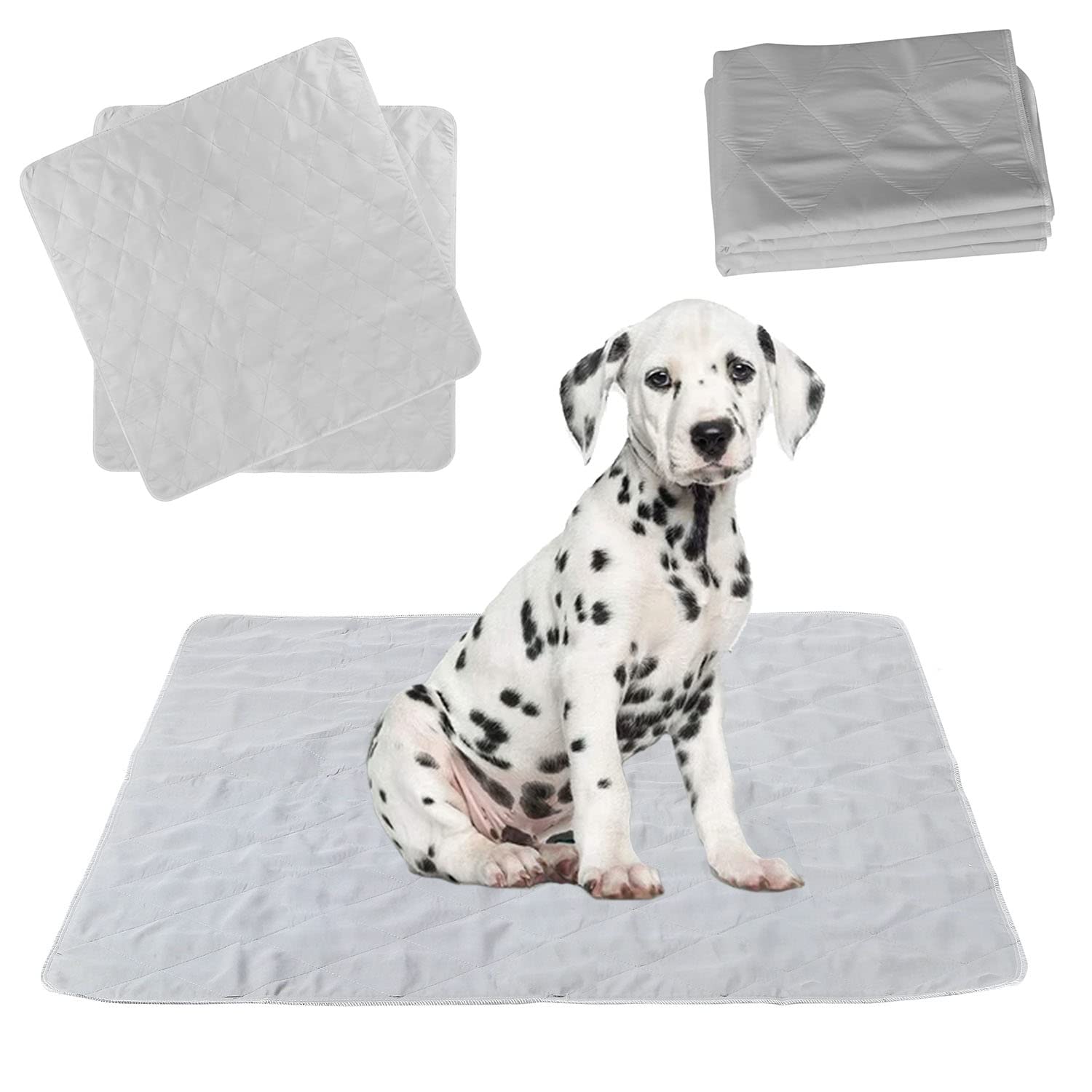 Taylor & Brown Reusable Puppy Trainer Training Pads, (120x120cm) 2-Pack Machine Washable Pee Pads for dogs Highly Absorbent, Washable with Waterproof Bottom