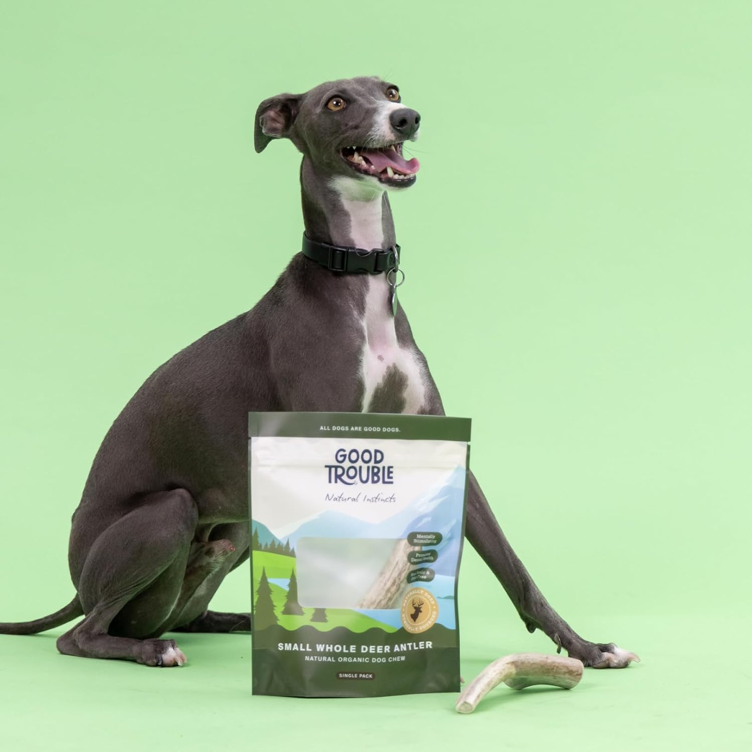 Good Trouble Premium Deer Antlers for Medium Dogs – 1 Whole Antler Pets - North American Sourced for Dental Health & Anxiety Relief - Odor-Free & Non-Toxic Chew Bone for Dogs