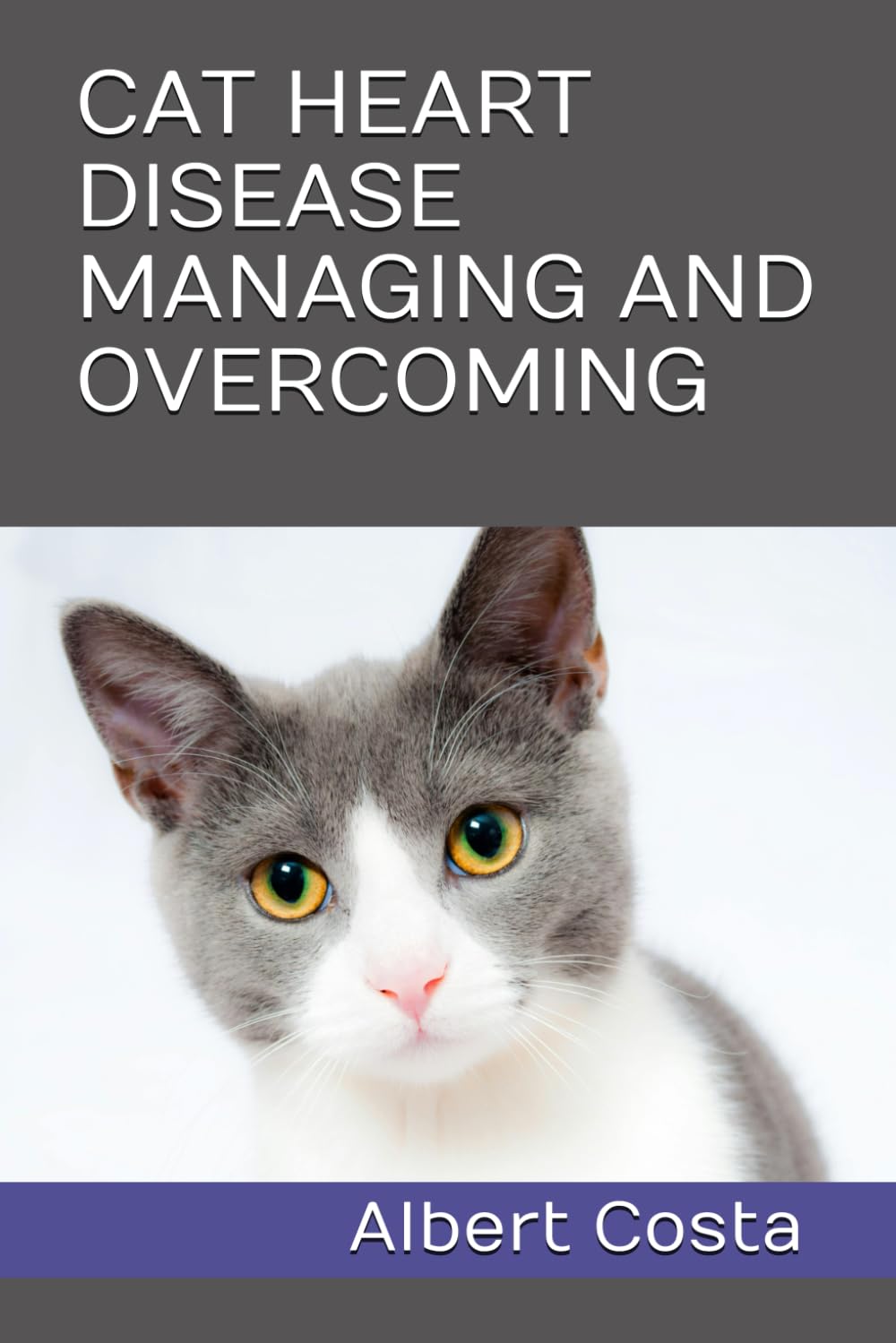 CAT HEART DISEASE MANAGING AND OVERCOMING