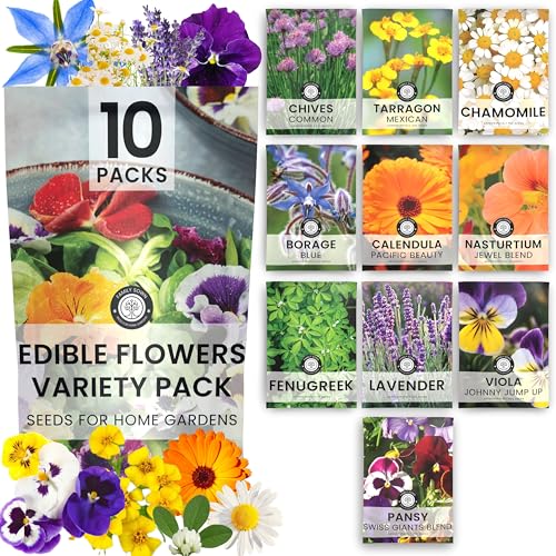 Edible Flower Seeds | 10 Individual Packs | 2026 Season | Non-GMO | Calendula, Chamomile, Nasturtium, Viola & More! | for Planting Indoor & Outdoor | by Family Sown