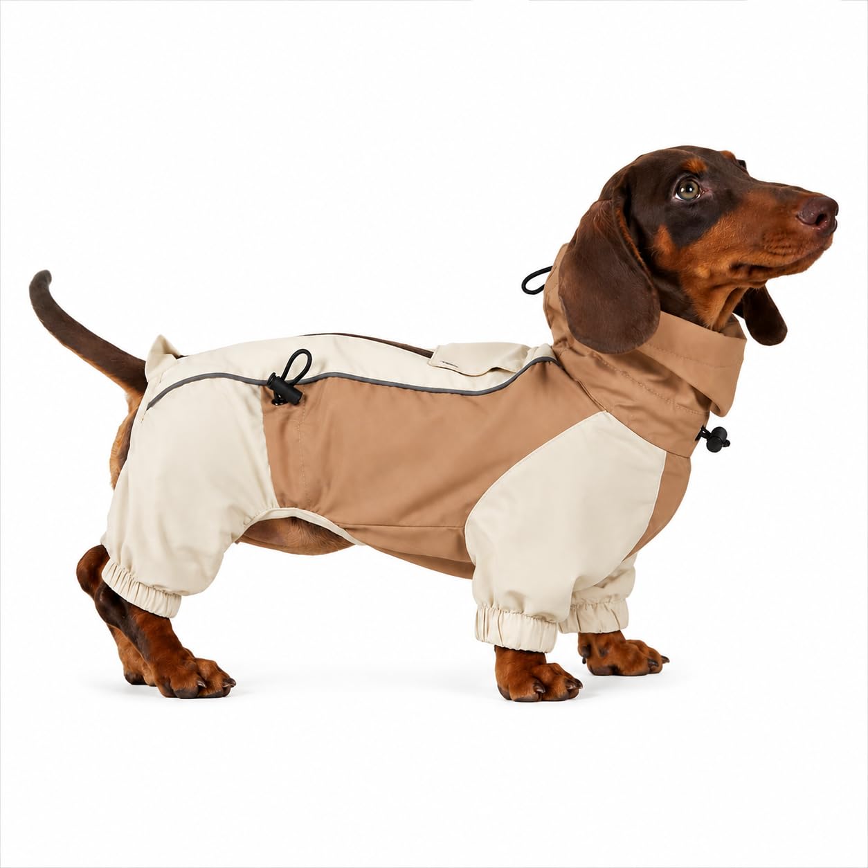 Dachshund Dog Raincoat, Waterproof Full Body Jacket with Legs, Lightweight Windproof Outdoor Rain Coat (Brown,M(13-17 lbs))