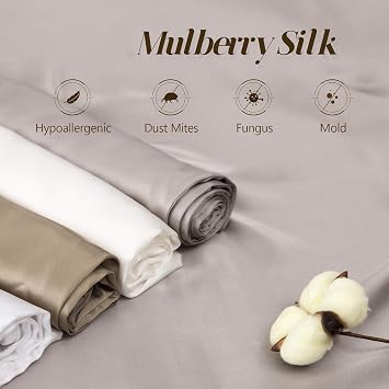 Ethlomoer 100% Natural Pure Silk Pillowcase for Hair and Skin, 19 Momme on Both Sides, 600 Thread Count, Design with Hidden Zip, 1 Piece, 40 x 60 cm, Dark Grey