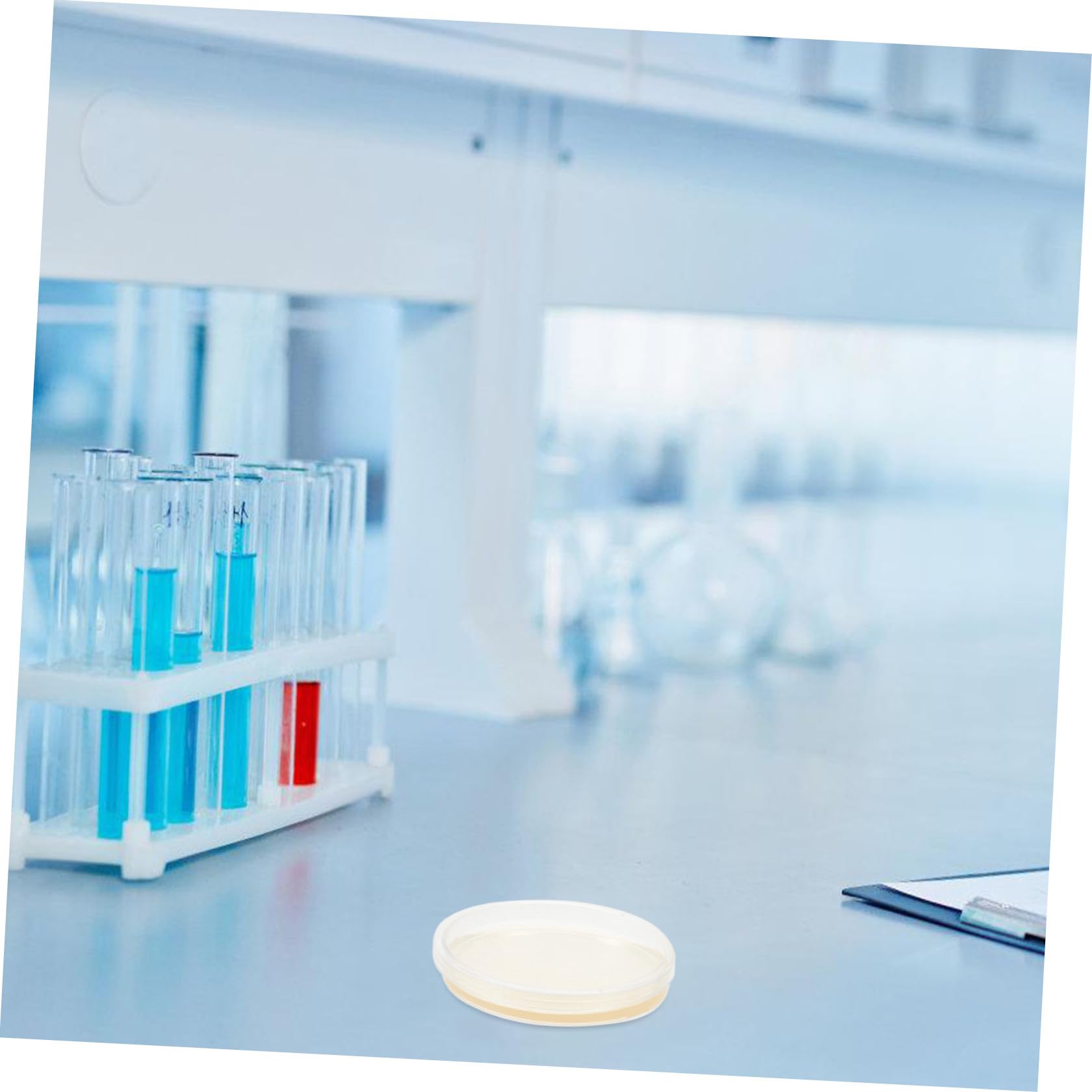20 Placas Estériles de Petri de Plástico Agar Nutritivo Lb de 9 CM, para Uso en Investigación Microbiológica y Actividades Educativas en Laboratorio