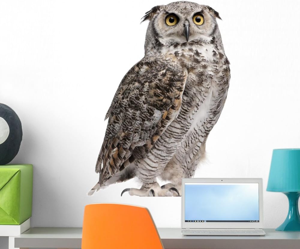 Wallmonkeys FOT-25705060-24 WM68454 Horned Owl Peel and Stick Wall Decals, 24" H x 22" W-Medium