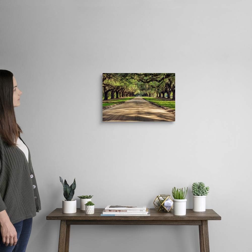CANVAS ON DEMAND Oak Tree Lined Road At Boone Hall Plantation, Charleston Canvas Wall Art Print by Scott Stulberg, Home Decor, United States Artwork,18" x12in
