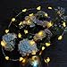 Impress Life Honey Bee Fairy String Lights, 10 Foot 40 LED, USB & Battery Operated 8 Modes with Remote Control for Wedding, Party, Festival, Indoor, Outdoor Decoration