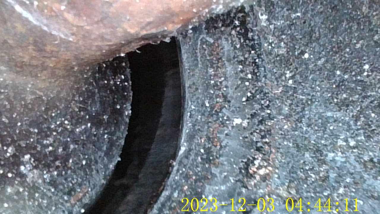 Excelentes imágenes detalladas.