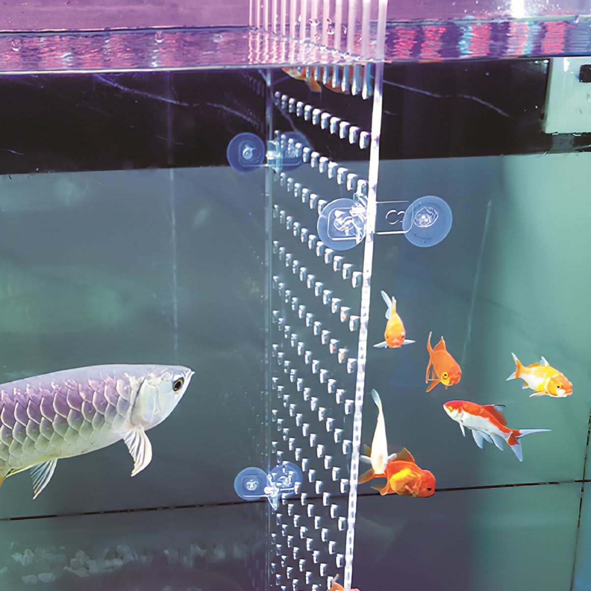 Popetpop Separador De Pecera AcríLico Transparente 9.64X8.26In Divisor para Acuario Accesorios para Peceras Durable Y FáCil De Instalar