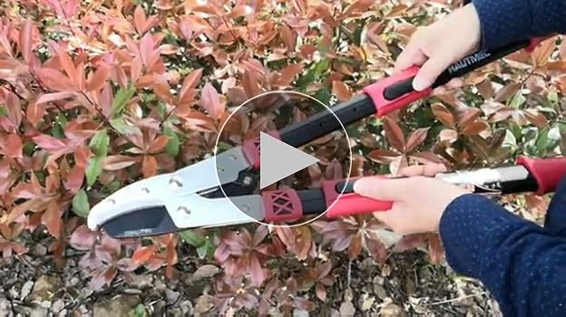 HAUTMEC Anvil Loppers For Tree Trimming Heavy Duty, Extendable 27-37'' Garden Bypass Loppers With Compound Action System, 2" Cutting Capacity