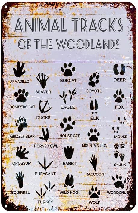 Amazon.com: Animal Tracks Field Guide Sign Nursery Metal Tin Sign ...