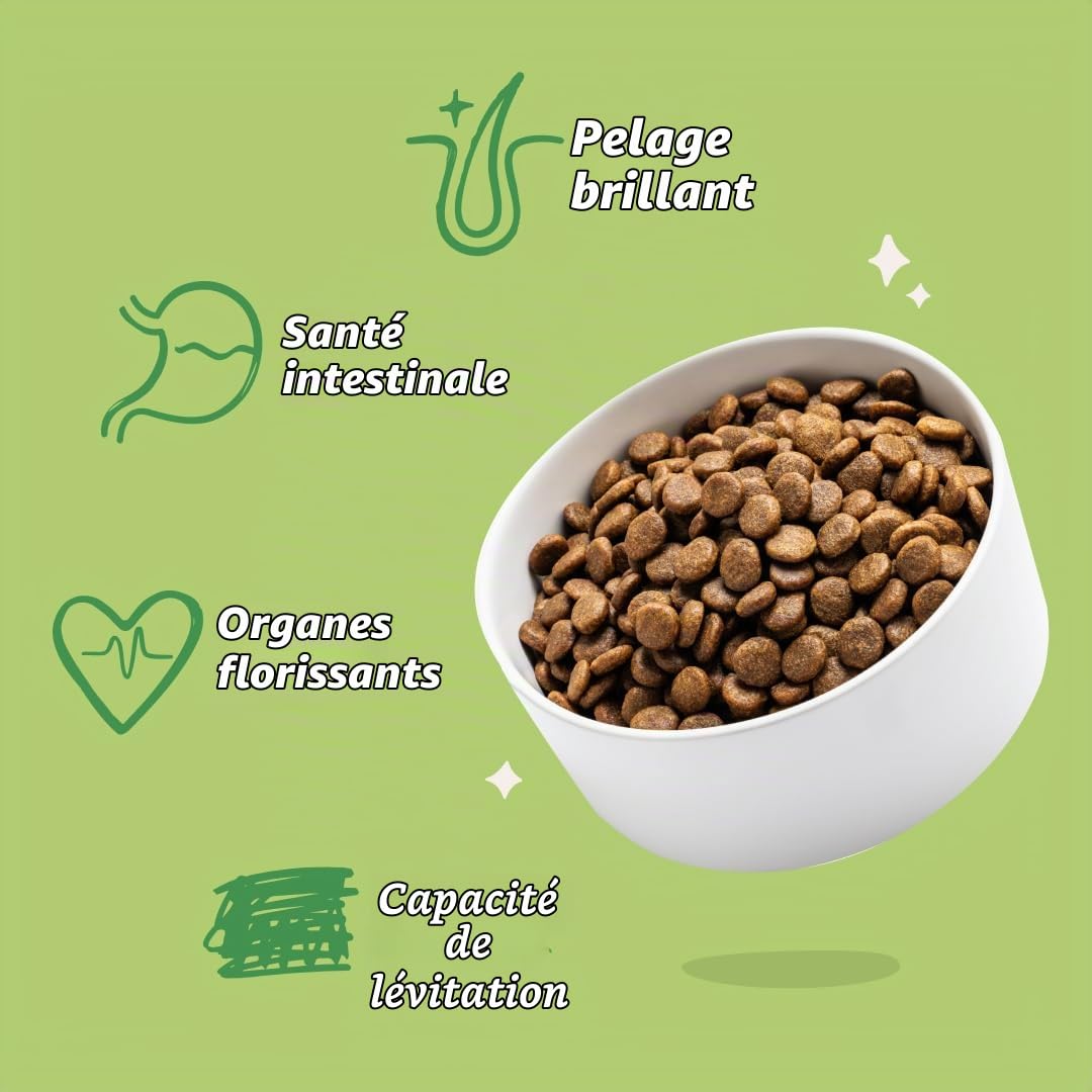 Edgard & Cooper Croquettes Chiens, Adultes, (Agneau Frais, 2,5kg), croquants Chien, Viande fraîche et ingrédients naturels, sans céréales, hypoallergénique, sans sucres ajoutés