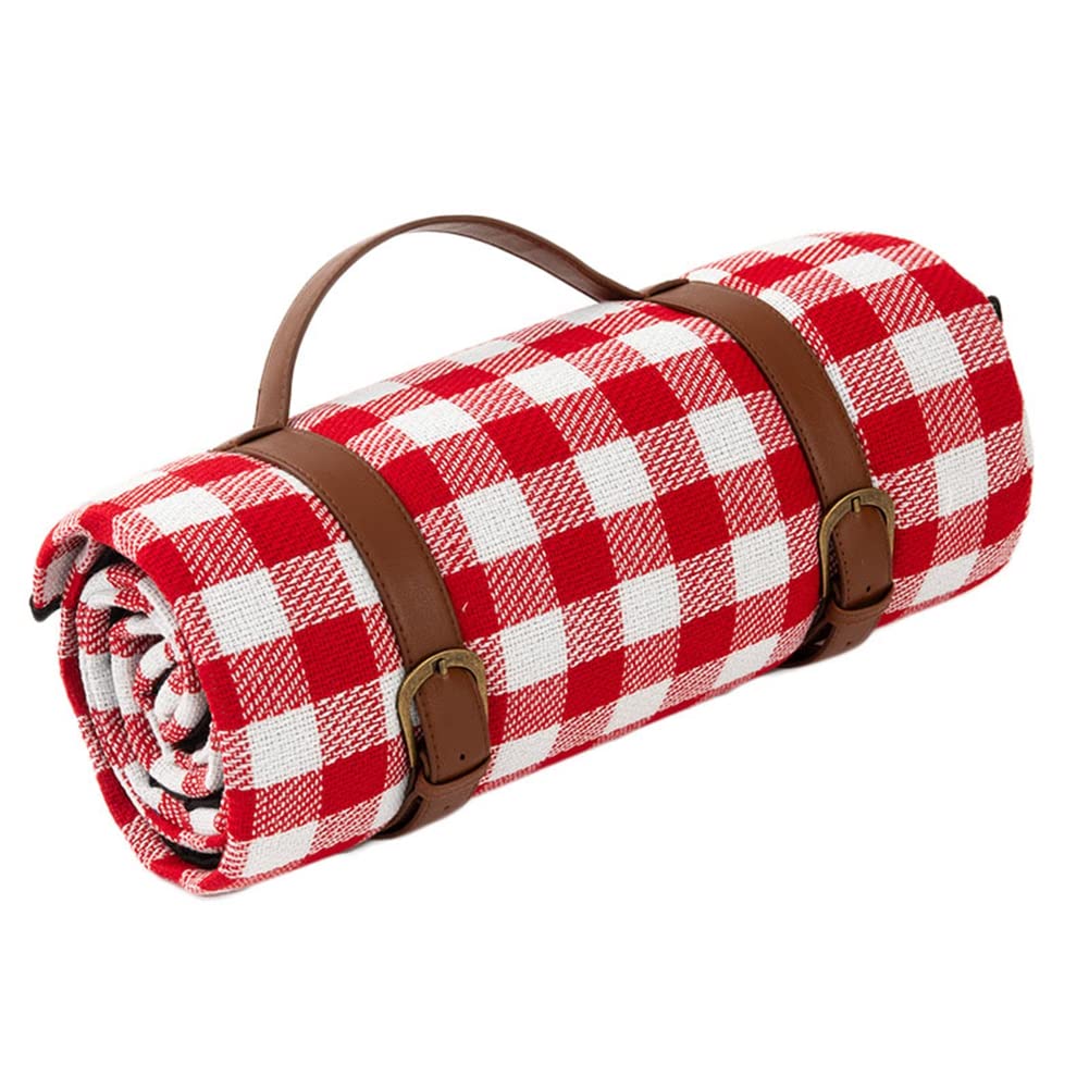 DAIHAN Picknickdecke, Picknickdecke Wasserdicht, Stranddecke Campingdecke mit Tragegriff, Tragbare Waschbar, Perfekt für Outdoor/Camping/Picknick/Beach/Park 200X300cm