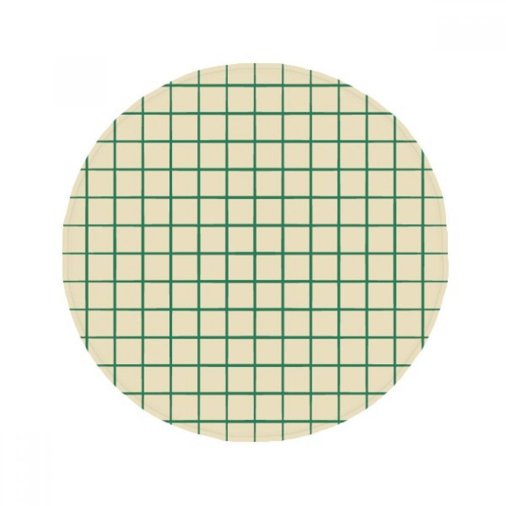 Tapis de bain pour animaux de compagnie et entrée - Tapis de sol rond multicolore 50cm anti-slip
