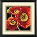 Dimensions Wilton Dimensions Needlepoint Kit, Red Poppy Trio, 14'' x 14''