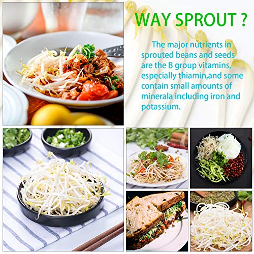 8 Pack Stainless Steel Sprouting Jar Lid Kit For Wide 3.4" Wide Mouth Mason Jars, 304 Stainless Steel Sprout Lid,Strainer Screen For Canning Jars And Seed Sprouting #TOP5