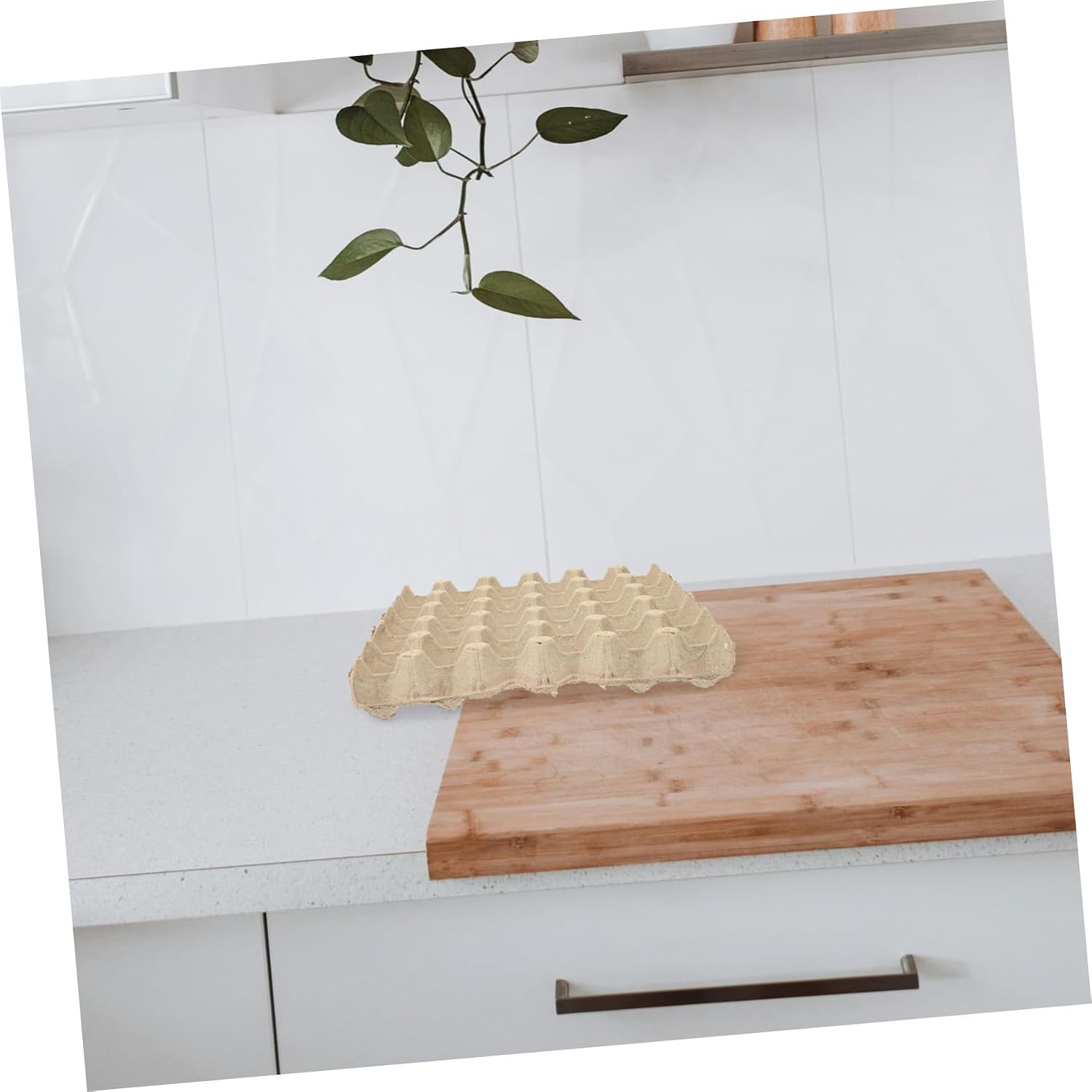 Biodegradable Paper Egg Tray 30-count Pack White Pulp Chicken Egg Crate for Kitchen and Refrigerator