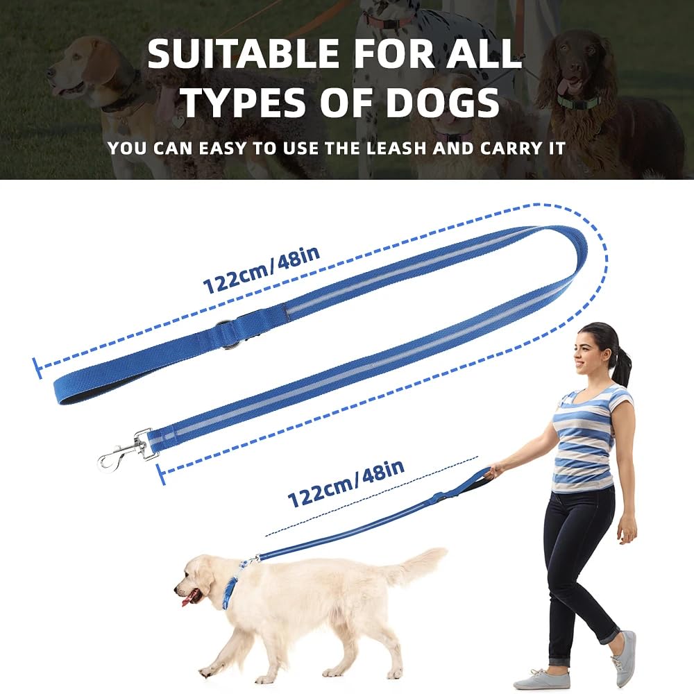 Le passeggiate notturne sono diventate più sicure, guinzaglio per cani a LED ultra luminoso | ricaricabile tramite USB | impermeabile | Durevole | 4 modalità di illuminazione e 3 colori |