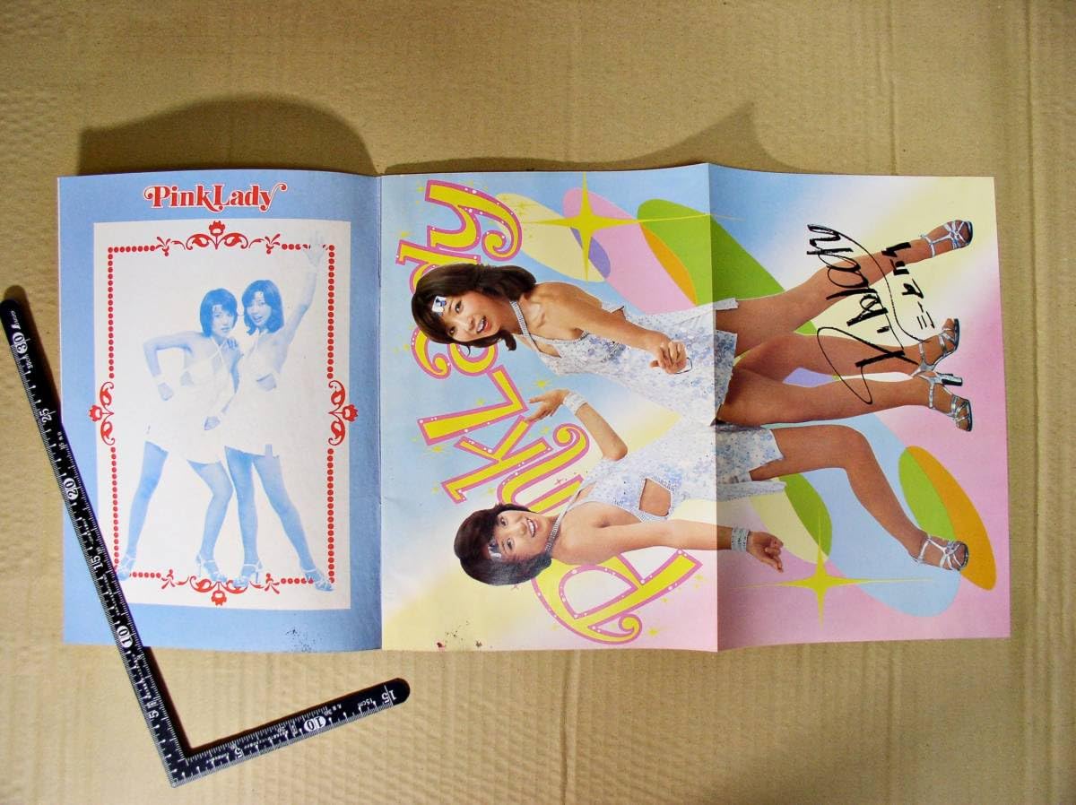 Amazon.co.jp: 昭和レトロ ピンクレディー Pink Lady COLORING