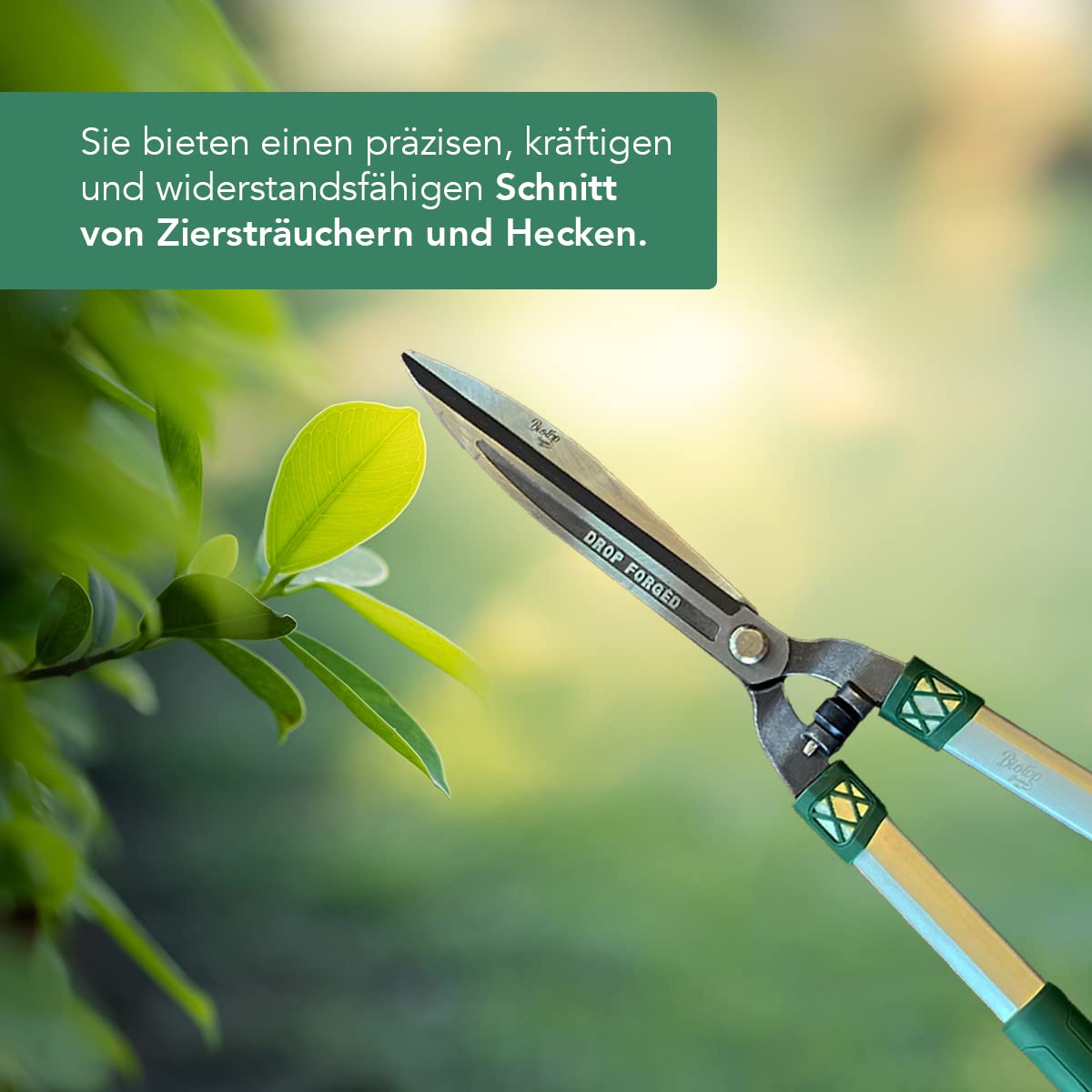 Beschneidschere für Details - Professionelles Gartenwerkzeug für Heckenschere, ideal für Pflanzen, Blumen, Garten und Gemüsegarten - max. 6 mm Schnitt mit Stoßdämpfern - Biotop