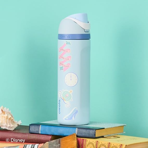 Owala Princess FreeSip Stainless Steel Water Bottle 24 oz Cinderella