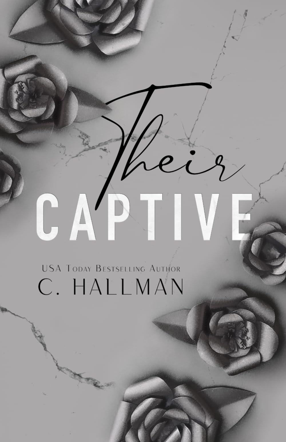 Their Captive: A Dark Romance