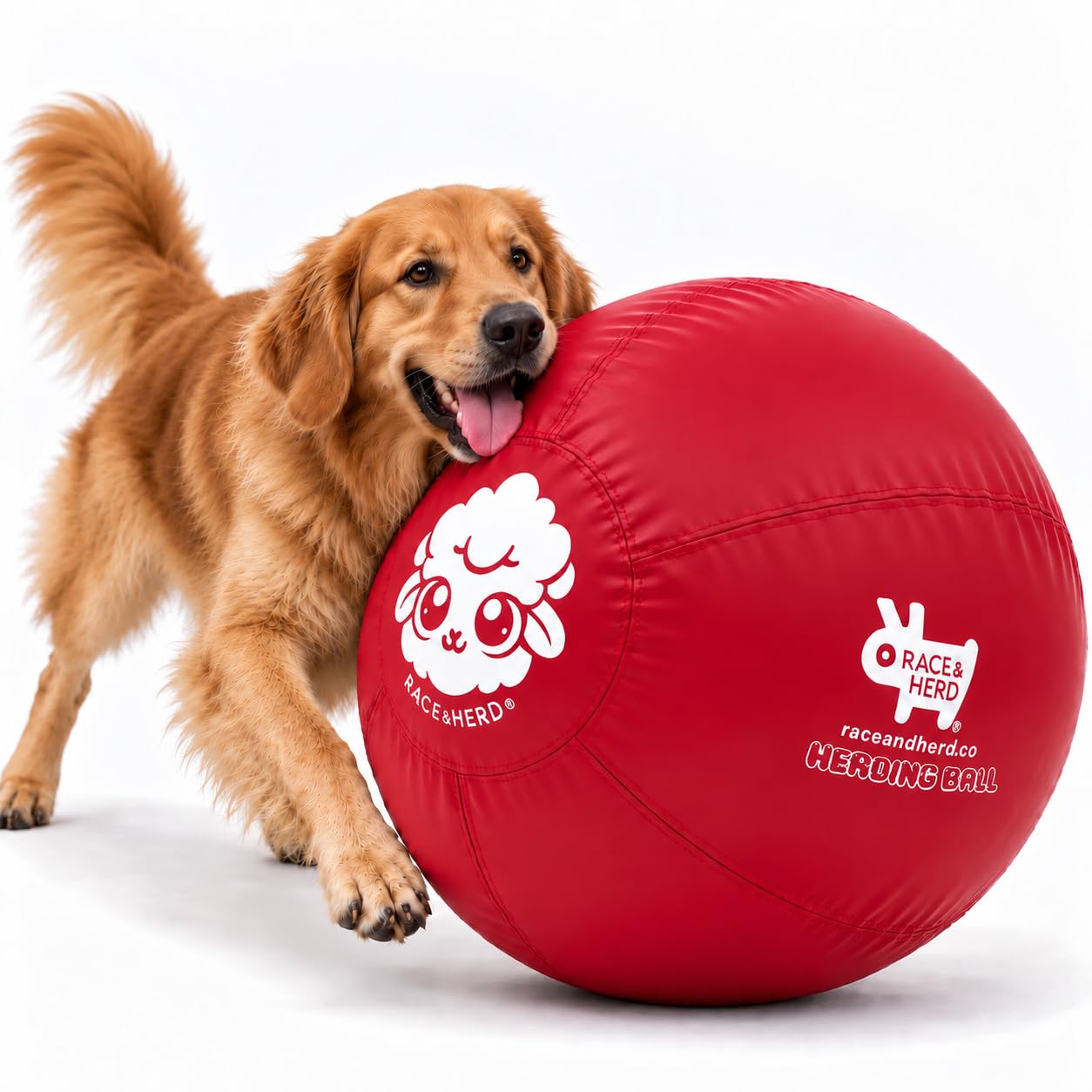 Race&amp;Herd 30" Original Herding Ball — Cover, Inner Ball &amp; Pump (Cherry)