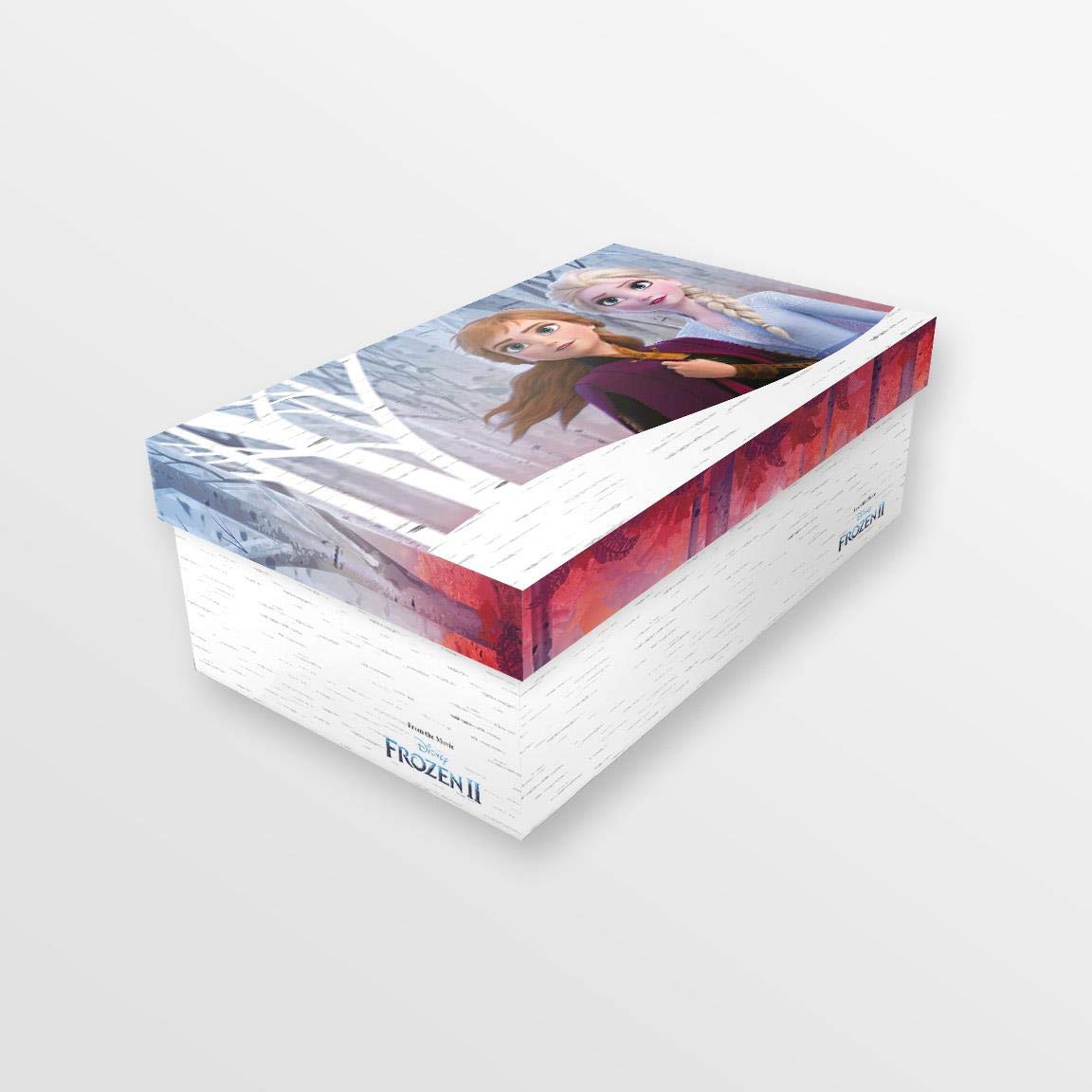 CERDÁ LIFE'S LITTLE MOMENTS, Zapatillas Niñas Luces de Frozen 2 con Velcro para Facilitar su Independencia y Comodidad-Licencia Oficial Disney, Gris, 30 EU