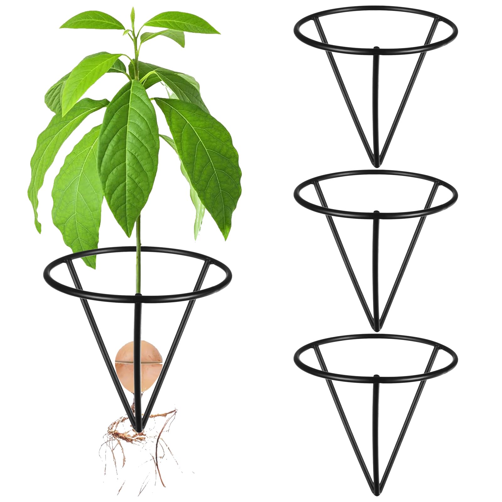 ULELE 3Pcs Avocado Germinator Avocado Tree Growing Kits Avocado Seed Starters Rack Conical Metal Stands Triangle Bracket Conical Avocado Seed Vase Holder Bamboo Base Sprouting Plant(Black)
