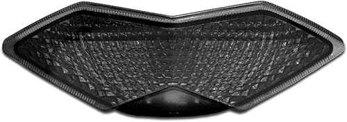 Luz trasera LED integrada Kawasaki Ninja 1000 Blaster-X 2011-2019 (lente transparente)