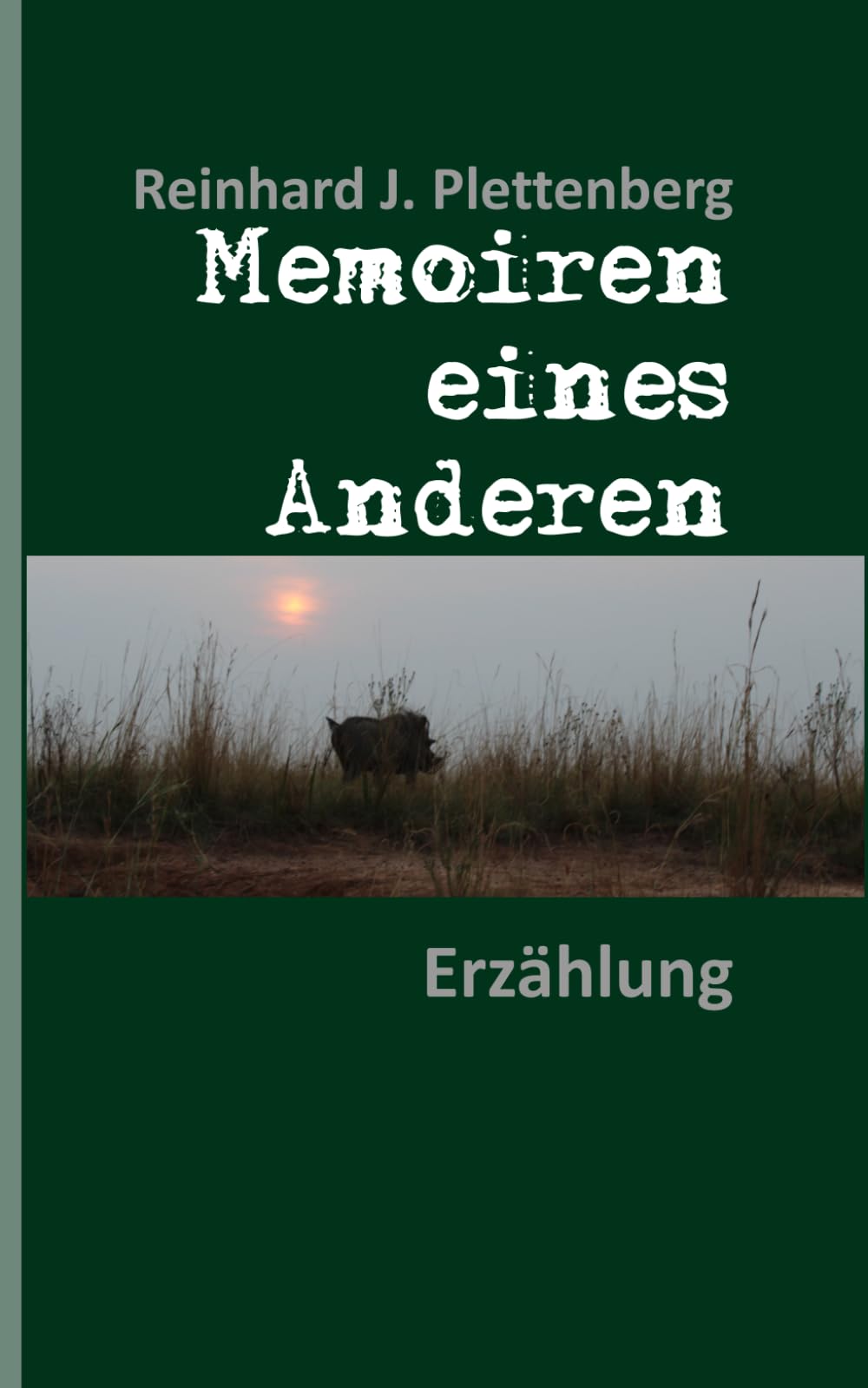 Memoiren eines Anderen: Erzählung