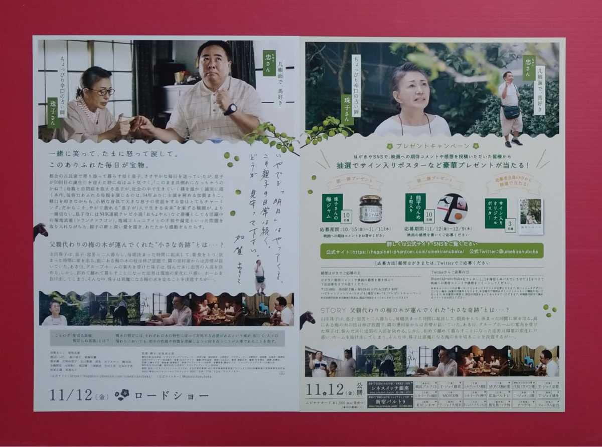 Amazon.co.jp: ・映画パンフレット+チラシ 梅切らぬバカ 加賀まりこ