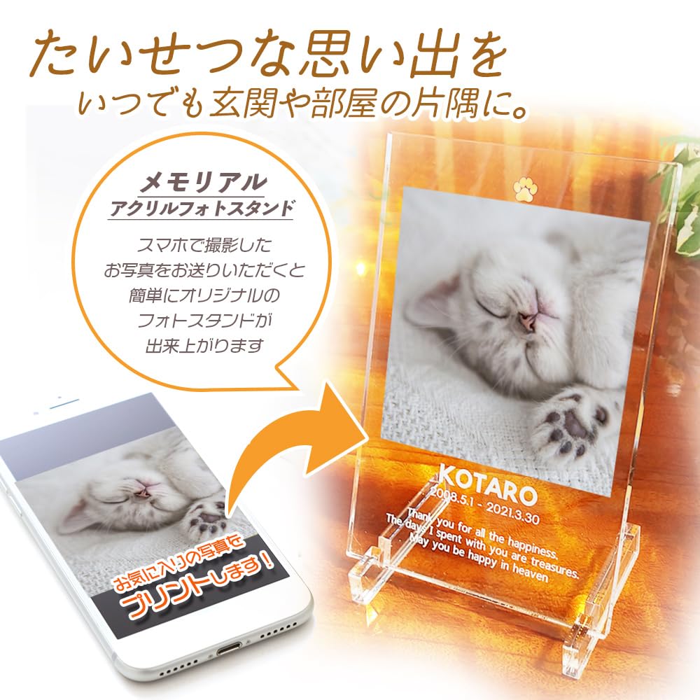 Amazon.co.jp: [オーダーメイド ] フォトフレーム ペット 写真 写真